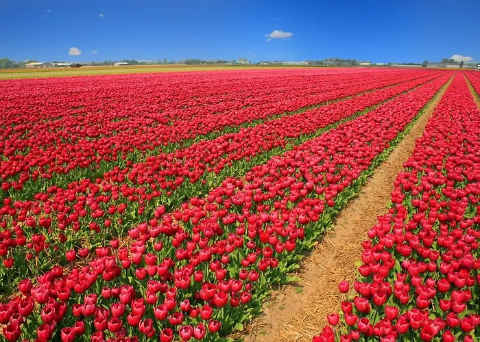 't Heilige Pad Egmond aan Zee